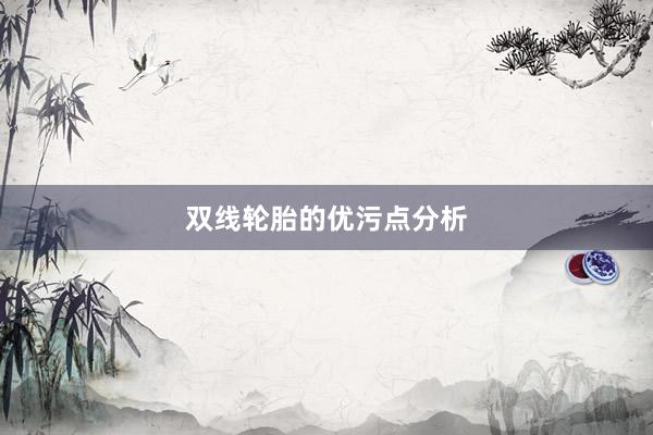 双线轮胎的优污点分析