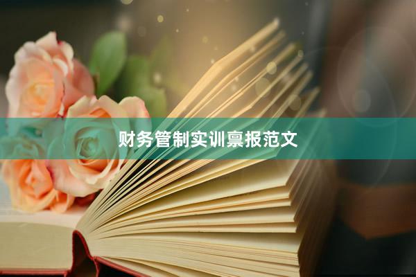 财务管制实训禀报范文