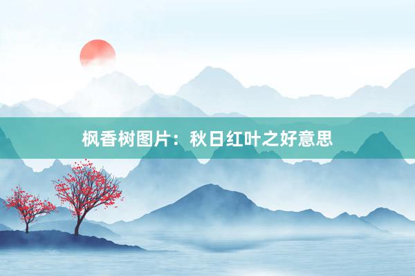 枫香树图片：秋日红叶之好意思