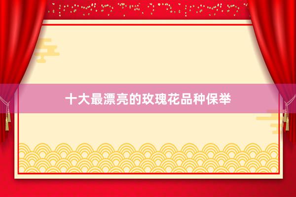 十大最漂亮的玫瑰花品种保举