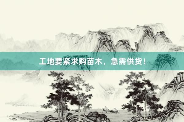 工地要紧求购苗木，急需供货！